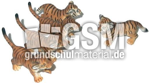 Tiger-4+1.jpg